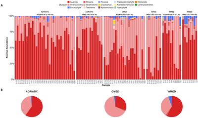 Structural variability of protist assemblages in surface sediments across Italian Mediterranean marine subregions